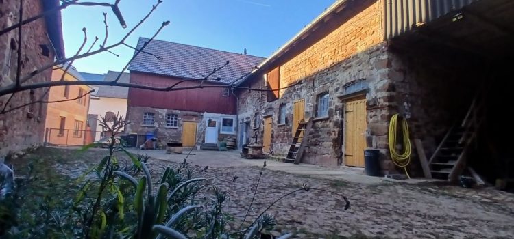 Ein Blick in die Zukunft Ein Blick in die Zukunft